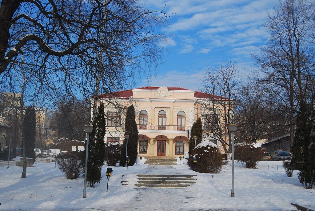 Muzeul Vasile Pogor iasi